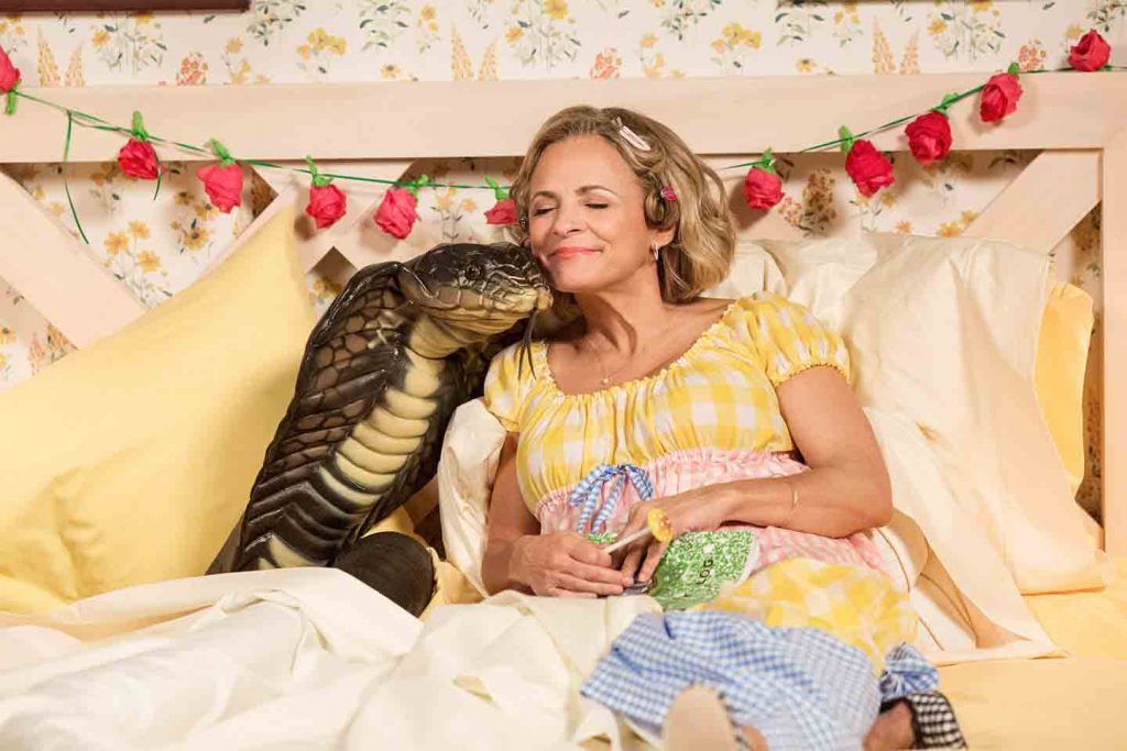 Amy Sedaris Biography- Careers, Gossips, New Net Worth 2021